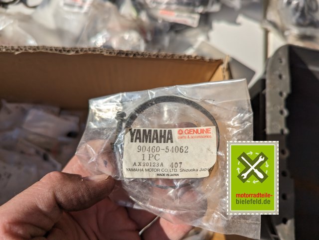 PXL_20240528_153423220